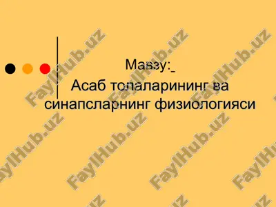 asab tizimining va sinapslarining fiziologiyasi — PPT