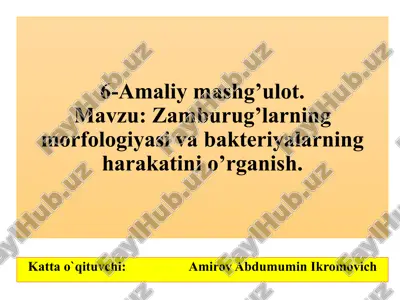 zamburug’larning morfologiyasi va bakteriyalarning harakati — PPTX