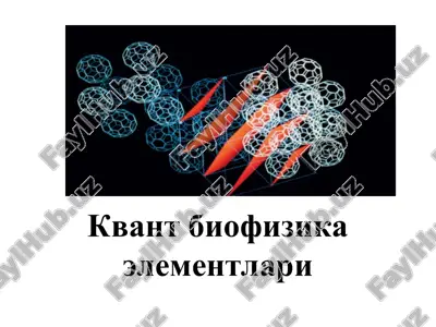 kvant biofizika elementlari — PPT