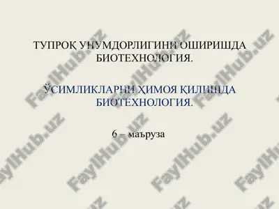 tuproq unumdorligini oshirishda biotexnologiya — PPT