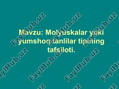 molyuskalar haqida — PPT