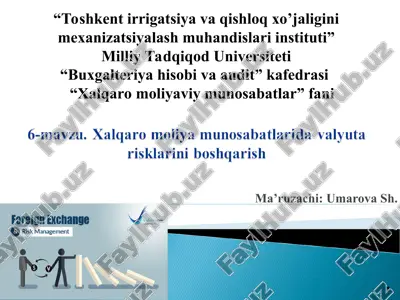 xalqaro moliya munosabatlarida valyuta risklarini boshqarish — PPT