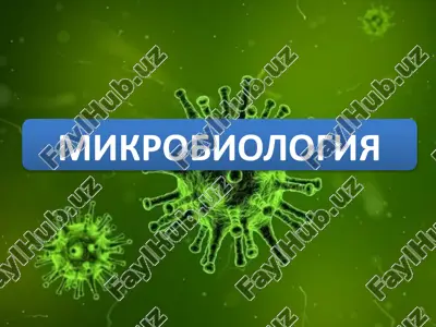 mikrobiologiya — PPTX
