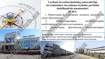 loyihani investitsiyalashning samaradorligi ko'rsatkichlari — PPTX
