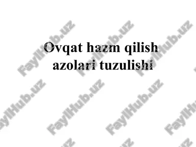 ovqat hazm qilish — PPT