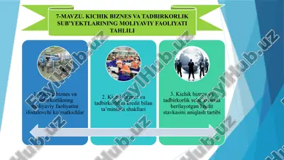 kichik biznes va tadbirkorlikning moliyaviy faoliyati tahlili — PPTX