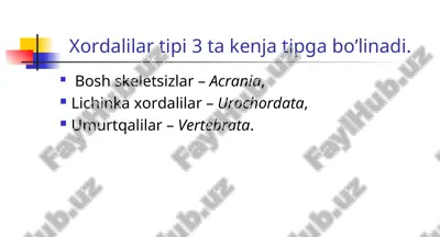 xordalilar tipining tafsiloti.qushlarning xayot kechirishi — PPT