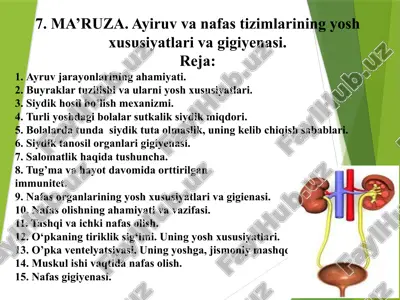 ayiruv va nafas tizimlari — PPTX