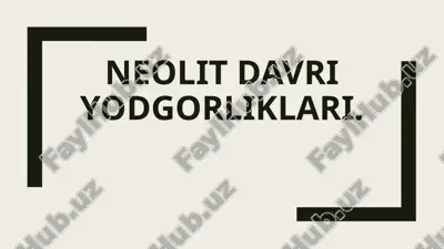 neolit davriyodgorliklari — PPTX