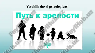 yetuklik davri psixologiyasi — PPTX