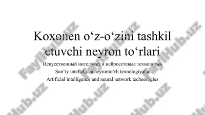 koxonen o‘z-o‘zini tashkil etuvchi neyron to‘rlari — PPT