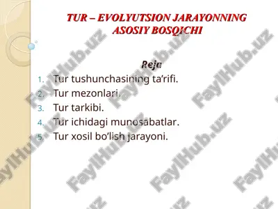 tur evolyutsiyasi — PPT