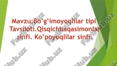 bo’g’imoyoqlilar — PPTX