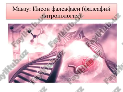 инсонфалсафаси (фалсафий антропология) — PPTX