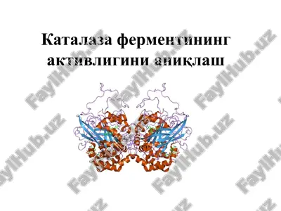 каталаза ферментининг активлигини аниқлаш — PPTX