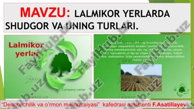 lalmikorlar va ularning turkumi — PPTX