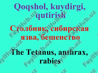 qoqshol — PPT