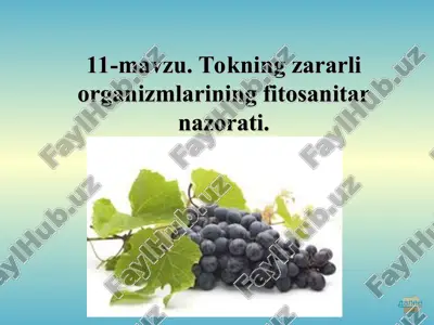 tokning zararli organizmlarining fitosanitar nazorati — PPT
