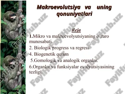 makroevolutsiya va uning qonuniyatlari — PPT