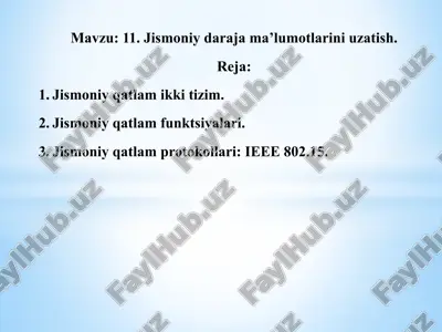 jismoniy daraja ma'lumotlarini uzatish — PPTX