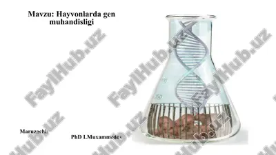 transgen hayvonlarning yaratilishi — PPTX