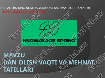 mehnat tatillari va o`ziga tegishli qonun hujjatlari — PPTX