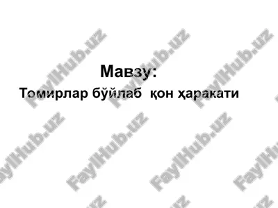 tomirlar bo'ylabqonharakati — PPT