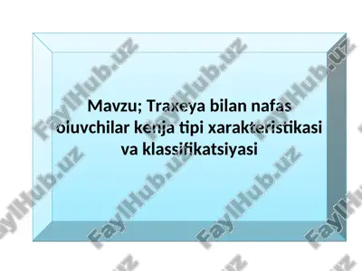 hasharotlar sinfi vakillari. — PPT