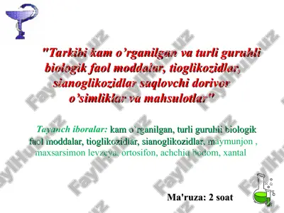 dorivor o’simliklar va mahsulotlar — PPT