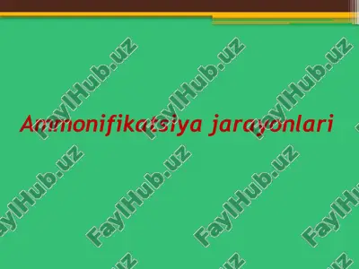 ammonifikatsiya jarayonlari — PPTX