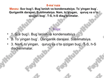 suv bug'i — PPT