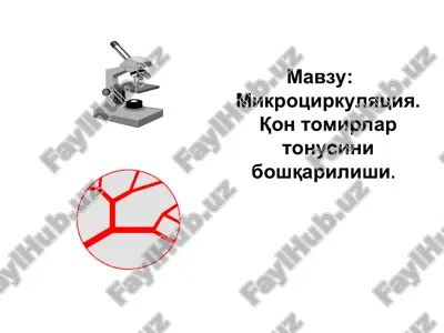 mikrosirkulyatsiya va qon tomirlar tonusini boshqarish — PPT