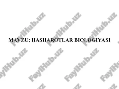 hasharotlar biologiyasi — PPT