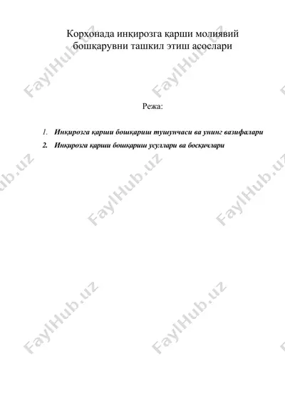 корхонада инқирозга қарши молиявий бошқарувни ташкил этиш асослари — DOC