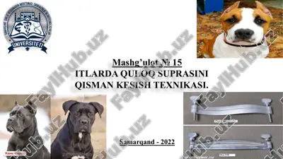 itlarda quloq suprasini qisman kesish texnikasi — PPTX