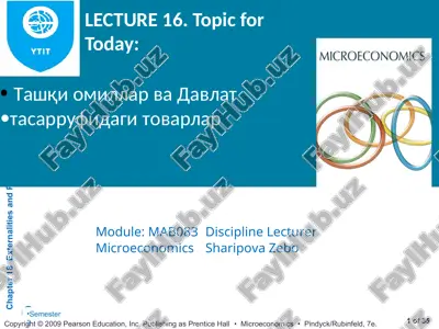 tashqi omillar va davlat tasarrufidagi tovarlar — PPT