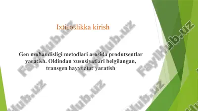 transgen hayvonlarni yaratish — PPTX