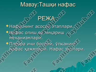 tashqi nafas — PPT