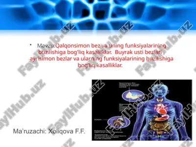 qalqonsimon bez va uning funksiyalari — PPTX