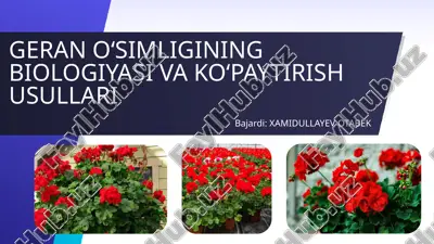 geran o‘simligining biologiyasi va ko‘paytirish usullari — PPTX