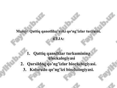 qattiq qanotlilar yoki qo‘ng’izlar turkumi — PPTX