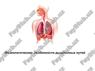 fiziyologik belgilar — PPT