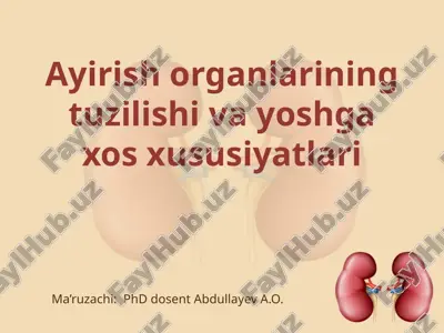 ayirish organlarining tuzilishi va yoshga oid xususiyatlari — PPTX