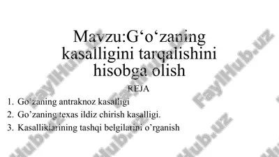 go'zaning kasalligini tarqalishini hisobga olish — PPTX