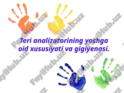 kozha va uning vazifalari — PPTX
