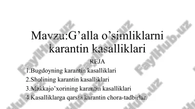 g'alla o'simliklarni karantin kasalliklari — PPTX