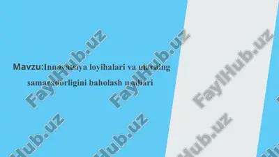innovatsiya loyihalari va ularning samaradorligini baholash usullari — PPTX