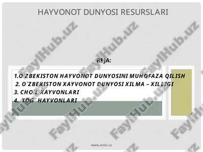 o`zbekiston hayvonlari — PPT