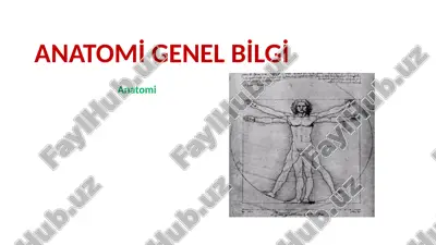anatomi genel bilgi — PPTX