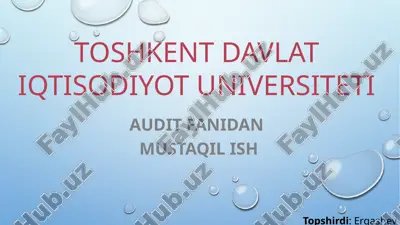 audit faoliyati — PPTX